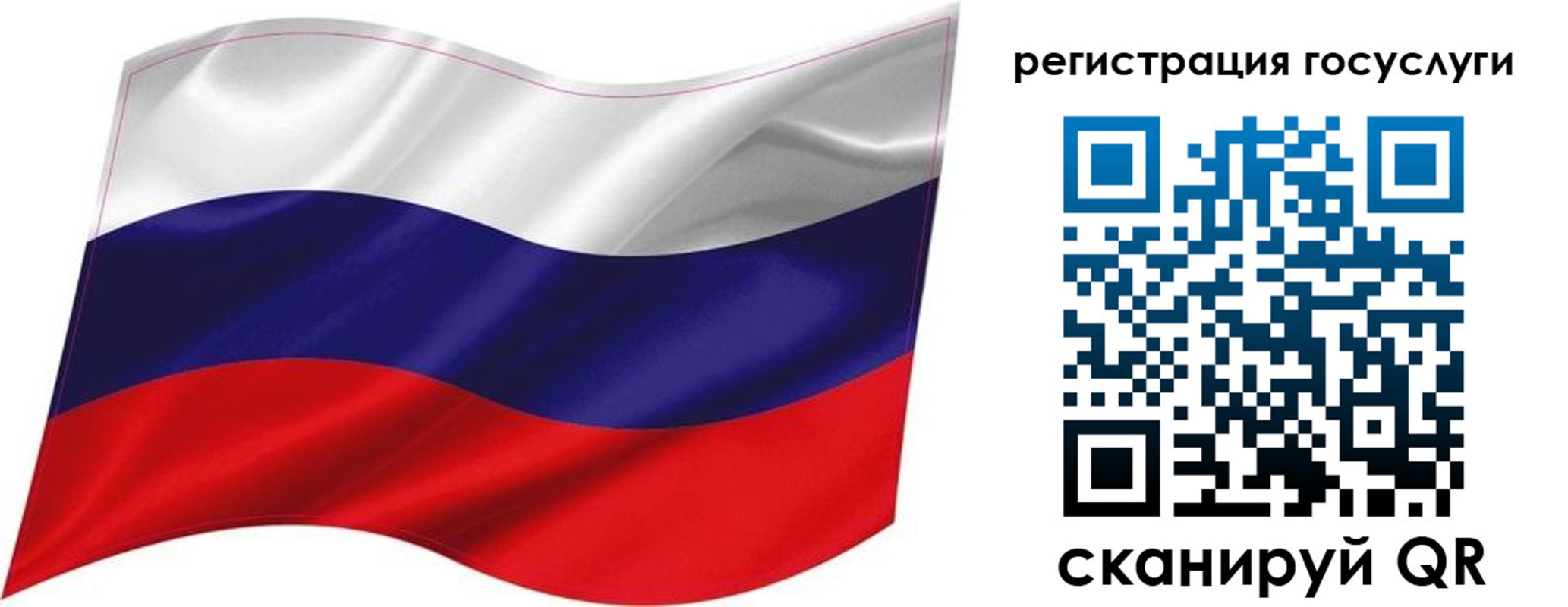 временная регистрация госуслуги в Елизово
